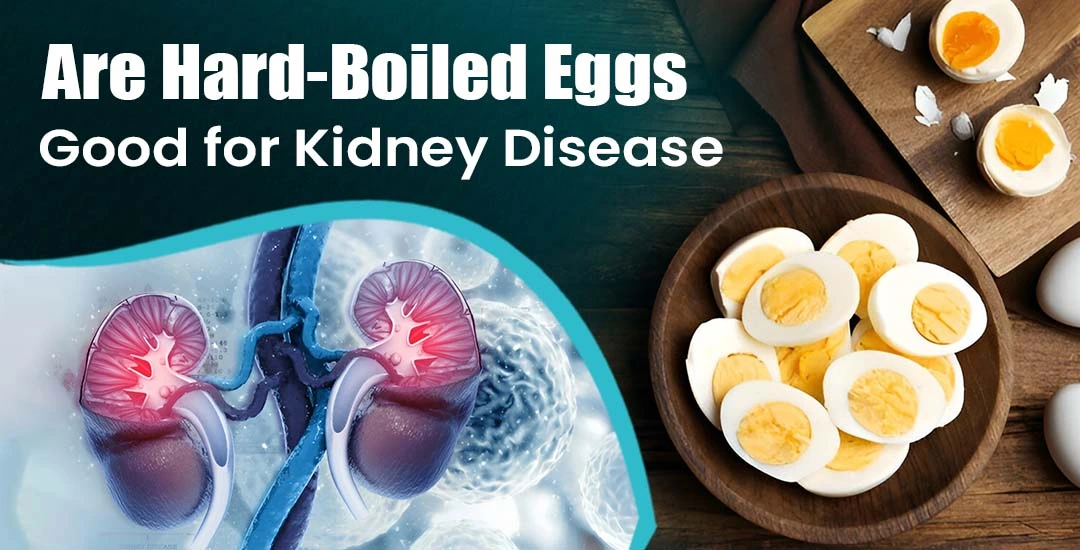 Are Hard-Boiled Eggs Good for Kidney Disease?